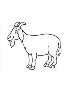 Old Goat coloring page