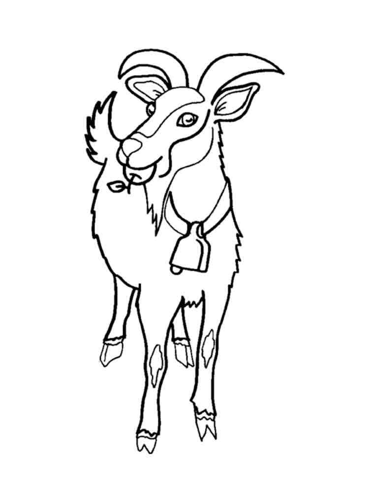 Goat eats apple coloring page
