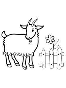 Female Goat coloring page