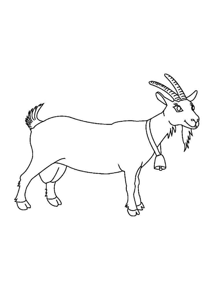 Goat with bell coloring page