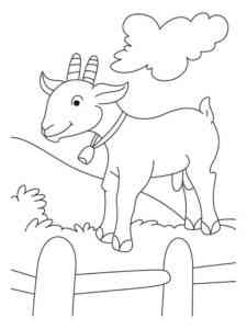 Beautiful Goat coloring page