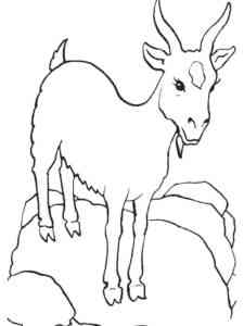 Simple Realistic Goat coloring page