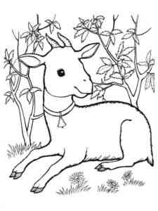 Goat lying in the garden coloring page