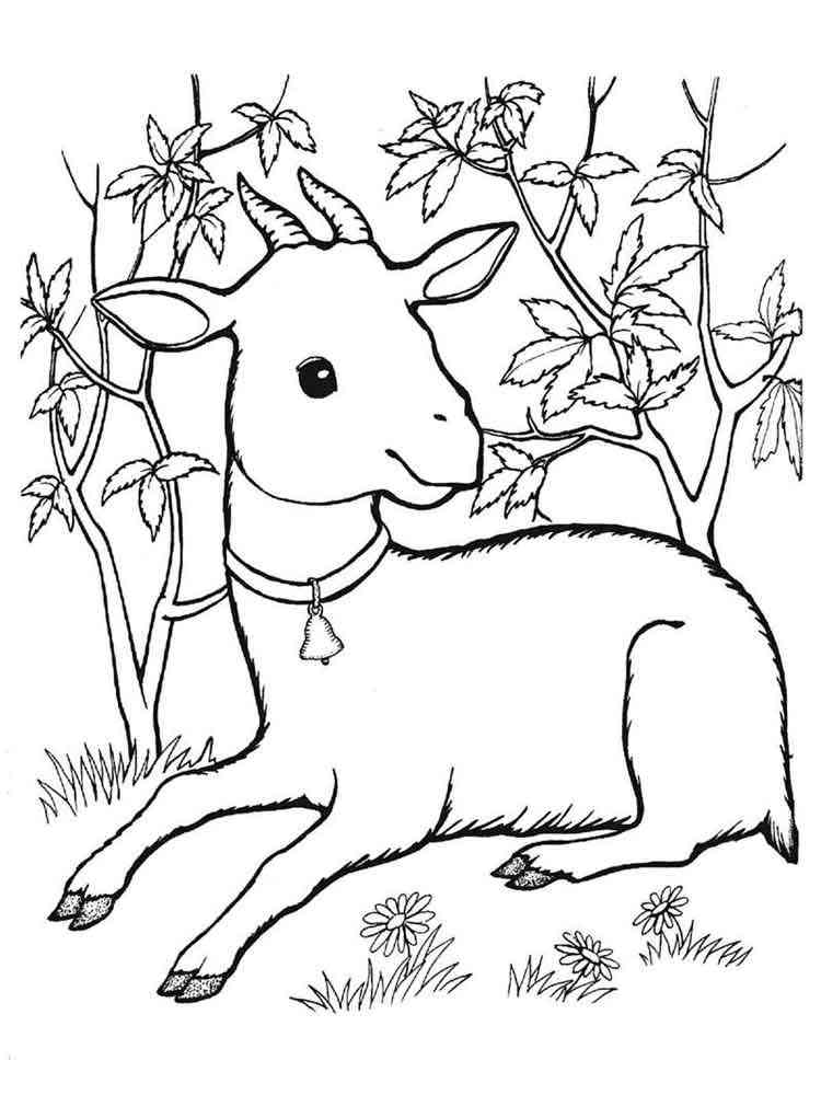 Goat lying in the garden coloring page