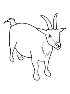 Simple Male Goat coloring page