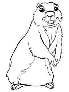 Gopher smiling coloring page