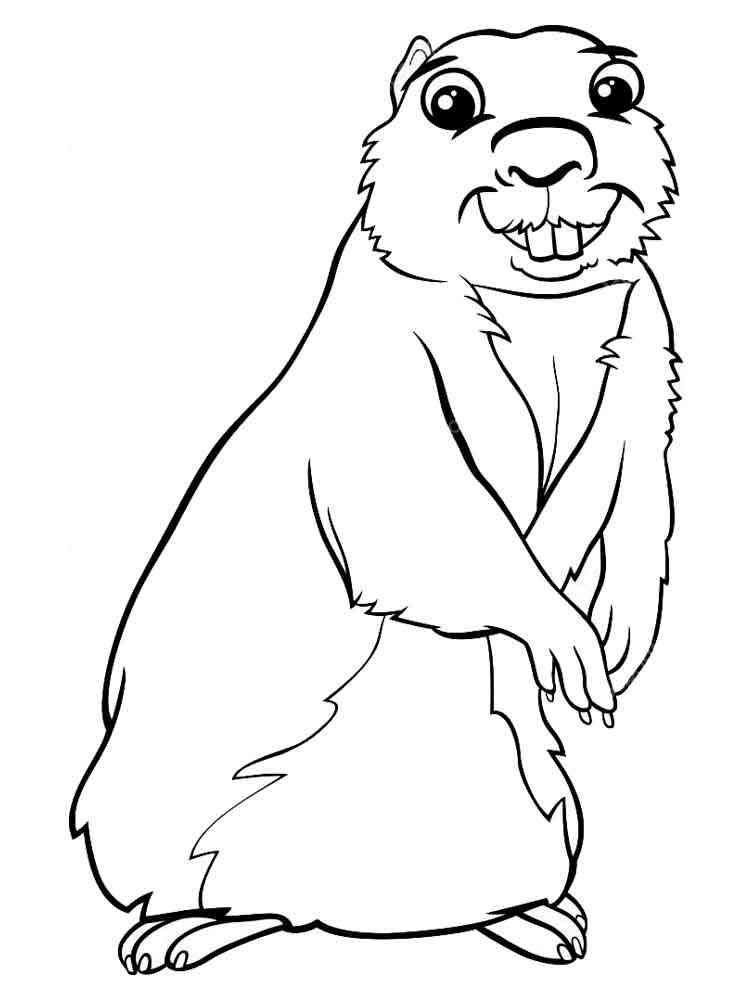 Gopher smiling coloring page