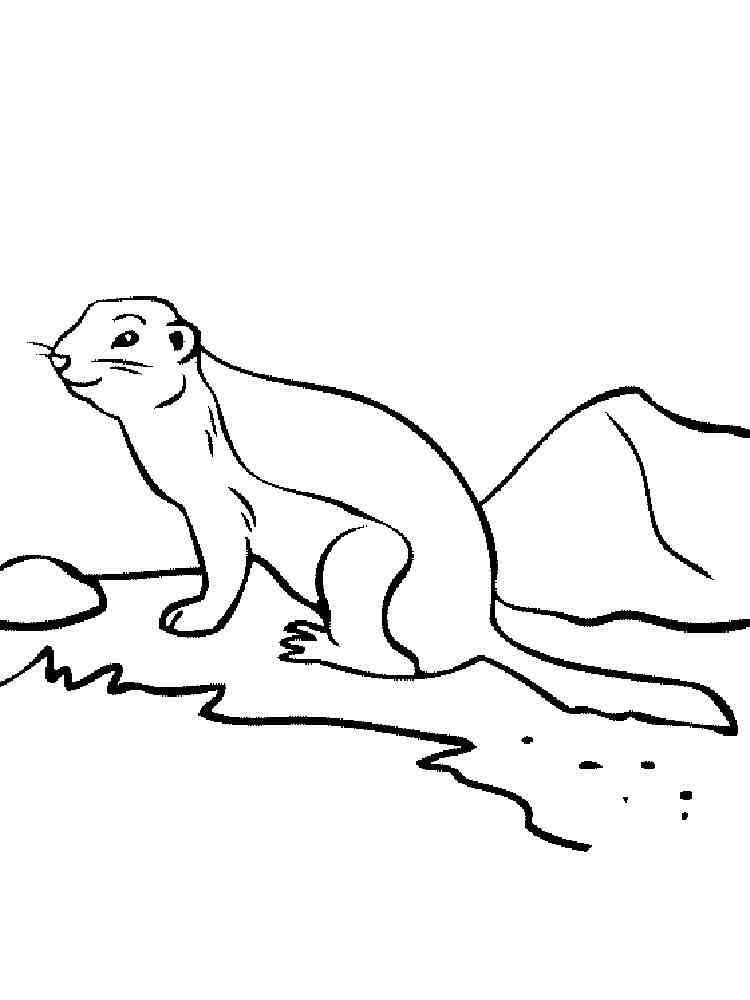 Easy Gopher coloring page