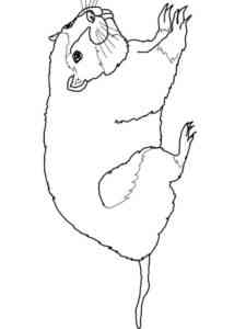 Simple Gopher coloring page