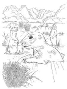 Realistic Gophers coloring page
