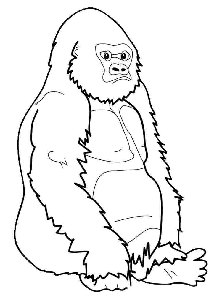 Funny Gorilla 3 coloring page