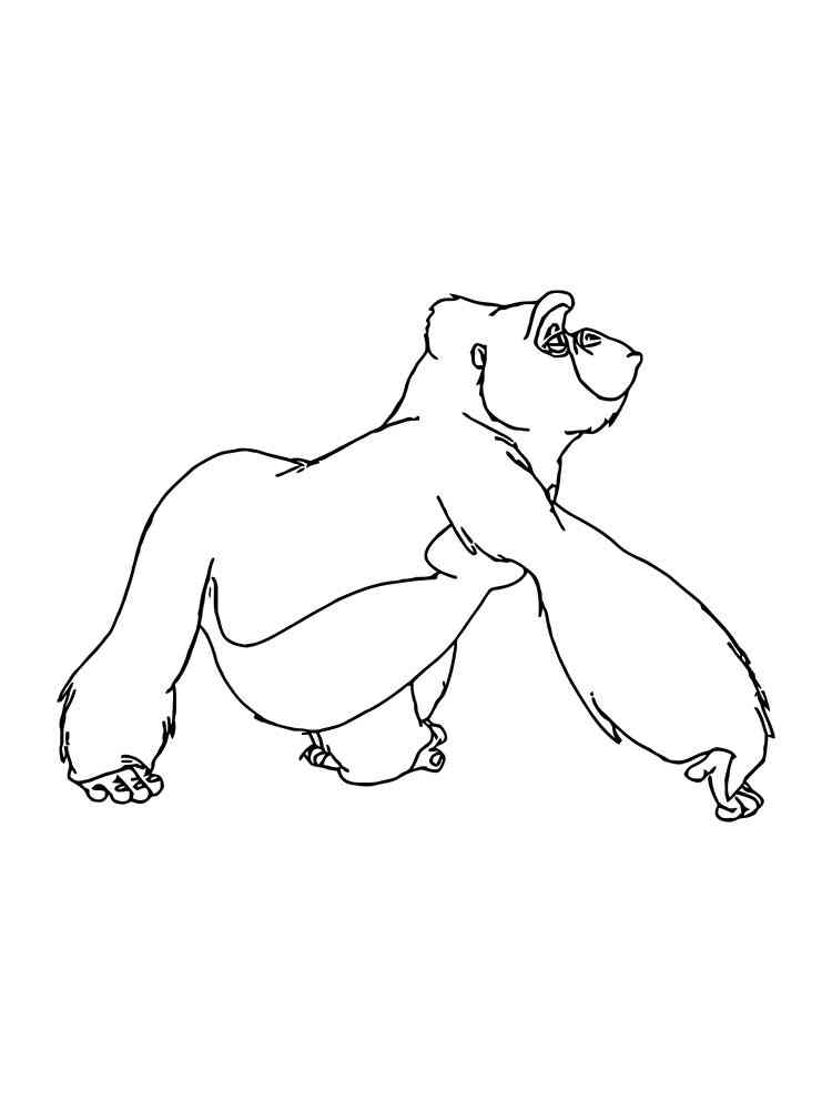 Large Gorilla coloring page