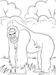 Gorilla in forest coloring page
