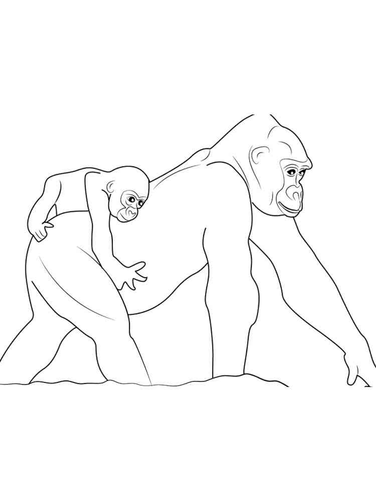 Gorilla with cub on his back coloring page