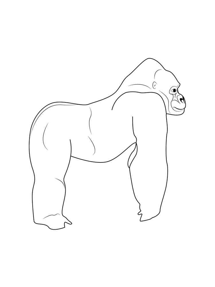 Simple Gorilla coloring page