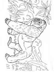 Gorilla walking in the jungle coloring page