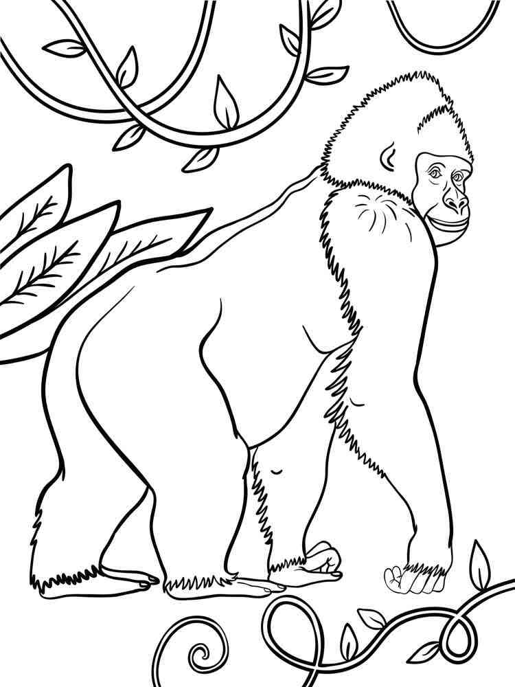 Gorilla Ape 2 coloring page