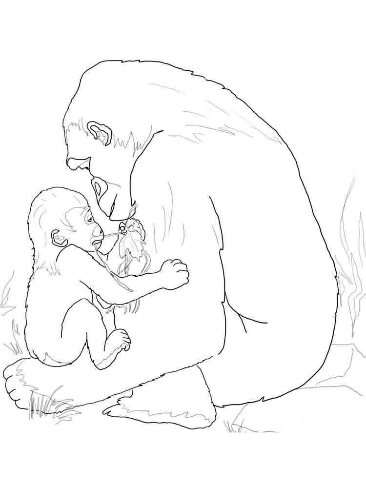 Gorilla with cub coloring page