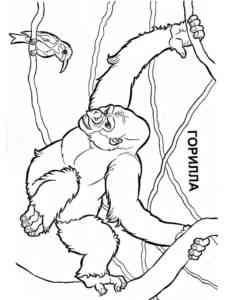 Gorilla and Bird coloring page