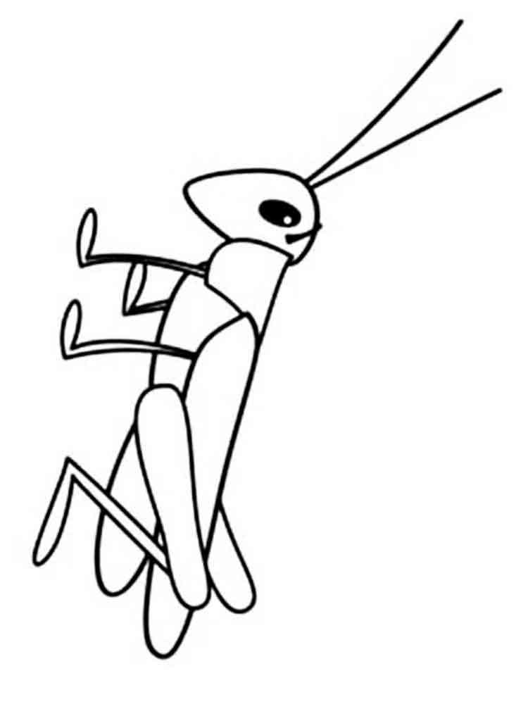 Grasshopper coloring page for Kids