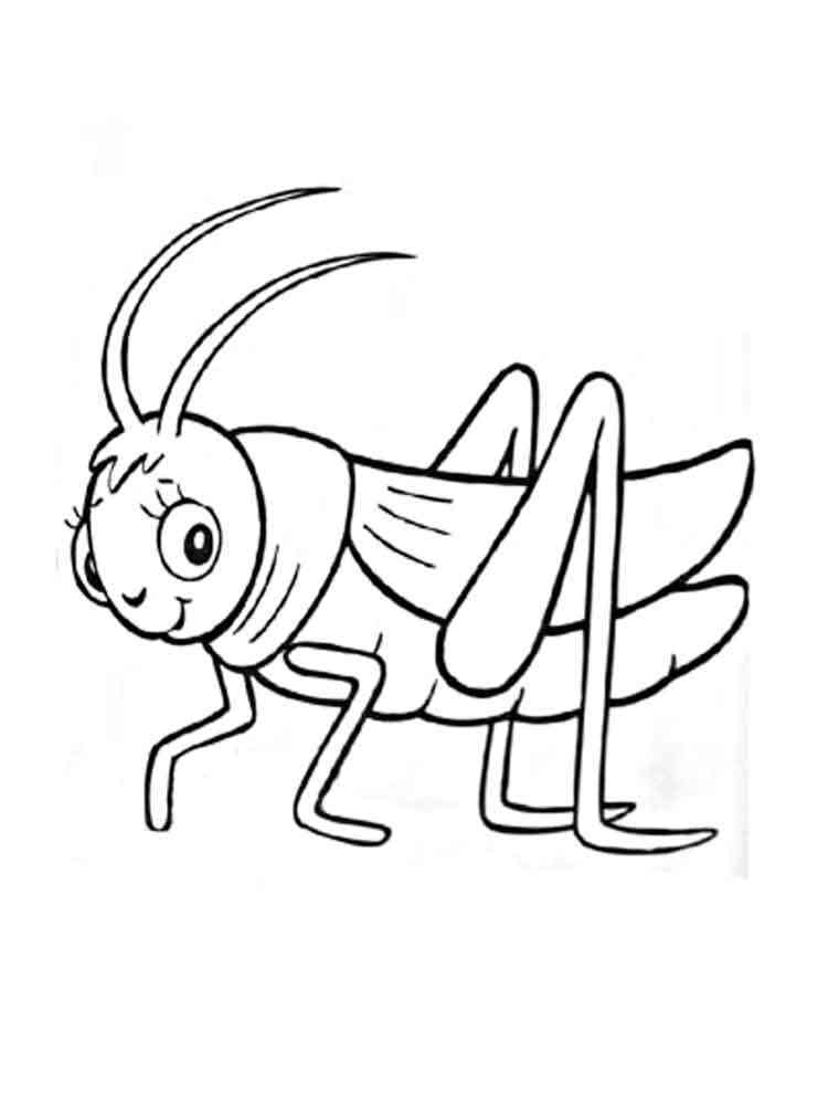 Simple Cute Grasshopper coloring page