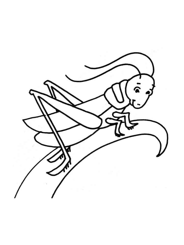 Grasshopper on stem coloring page