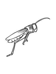 Grasshopper jumping coloring page