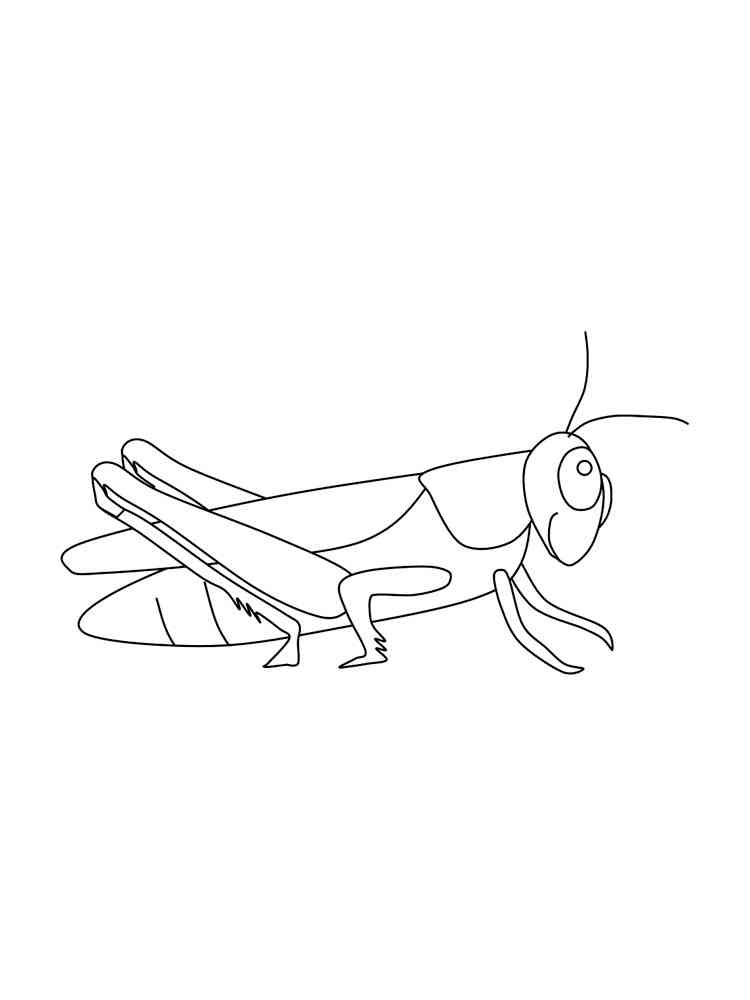Easy Grasshopper coloring page
