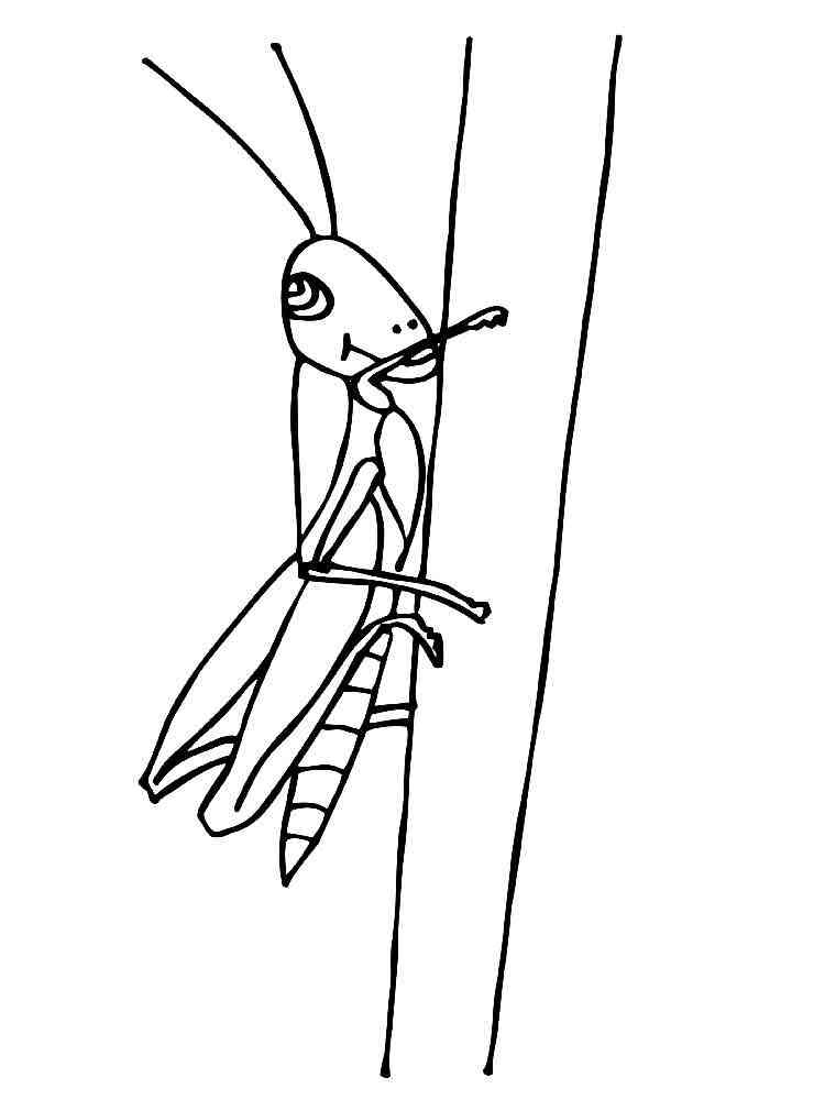 Grasshopper smiling coloring page