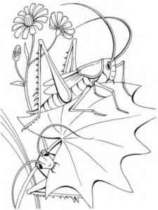 Grasshoppers eat coloring page