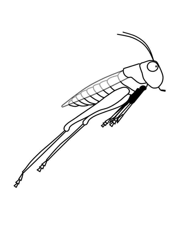 Grasshopper Jump coloring page