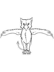 Little Griffon coloring page