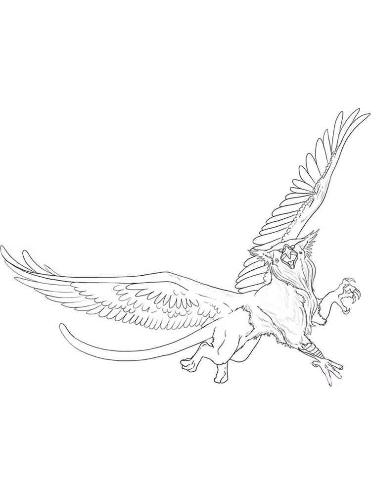 Flying Griffon coloring page