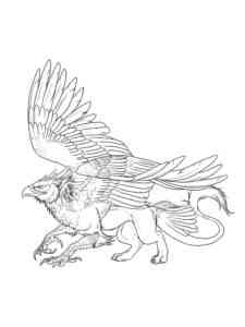 Griffon coloring page for Kids