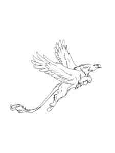 Simple Griffin 2 coloring page