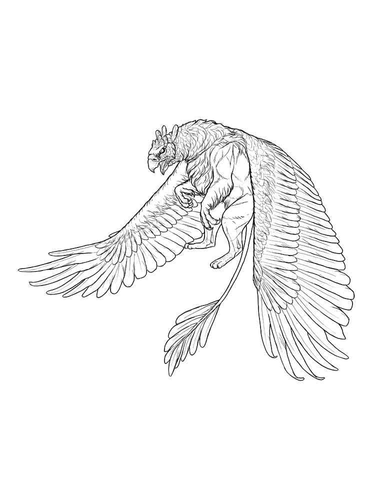 Large Griffon coloring page