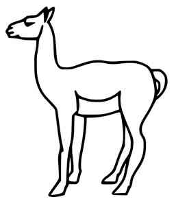 Guanaco coloring pages