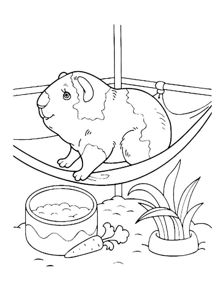 Happy Guinea Pig coloring page