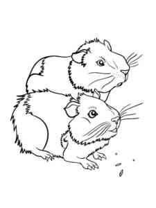 Guinea Pigs coloring page