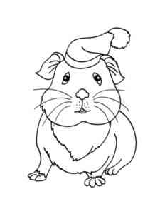 Guinea Pig in hat coloring page