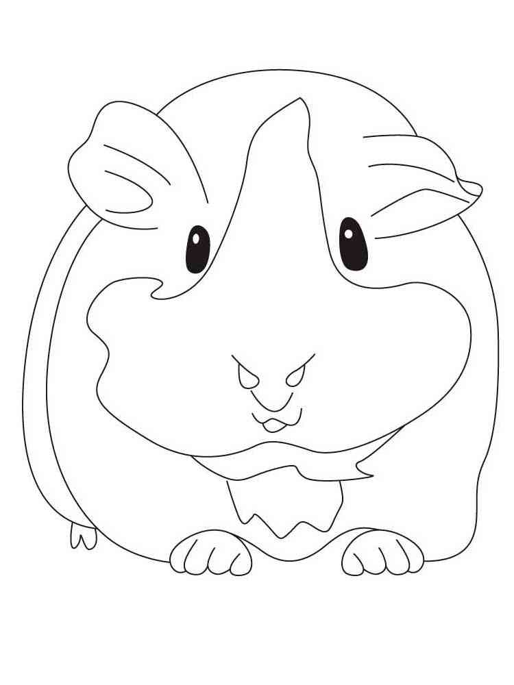 Guinea Pig Portrait coloring page