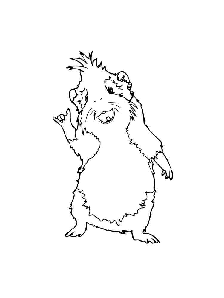 Funny Cartoon Guinea Pig coloring page