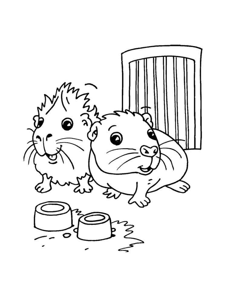 Two Guinea Pigs coloring page