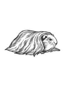 Beautiful Guinea Pig coloring page