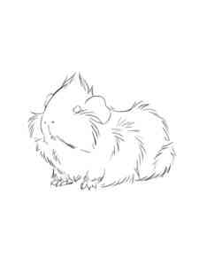Little Guinea Pig coloring page