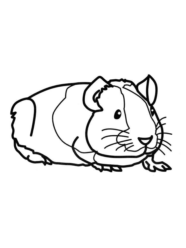 Easy Guinea Pig 2 coloring page