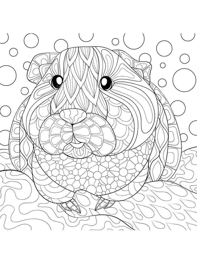 Antistress Guinea Pig 2 coloring page