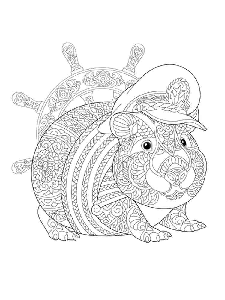 Antistress Guinea Pig coloring page