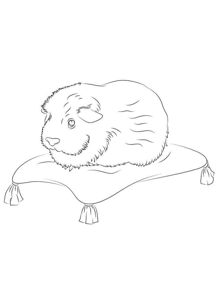 Guinea Pig on Pillow coloring page
