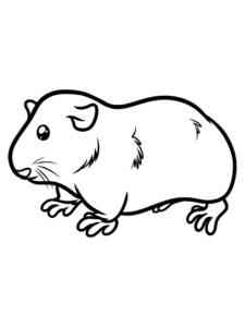 Kawaii Guinea Pig coloring page